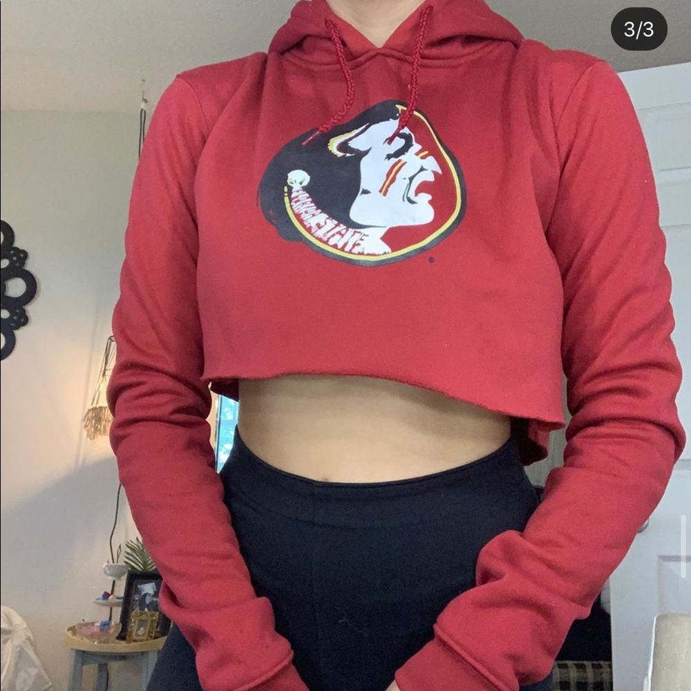 Fsu hoodie